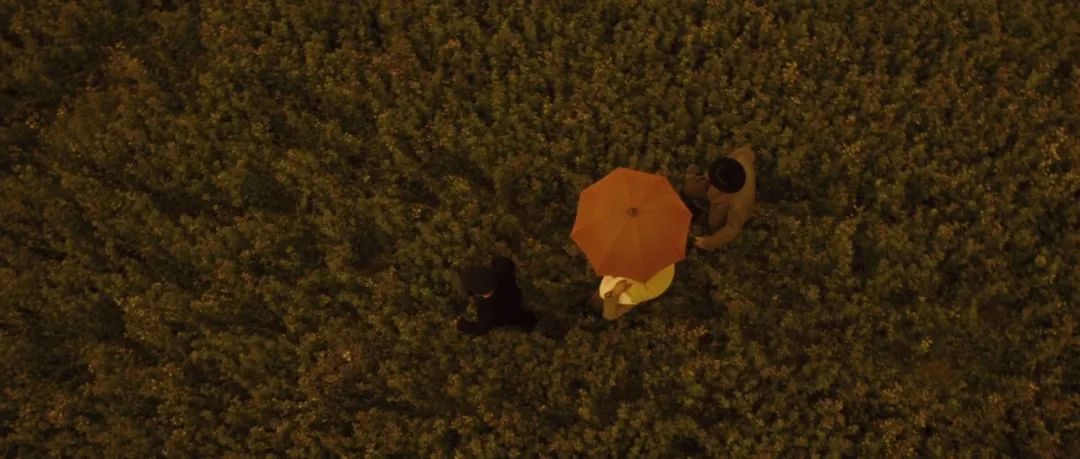 小龙虾2022 他们在沉默中死去，新冠最严重的后果终于来了