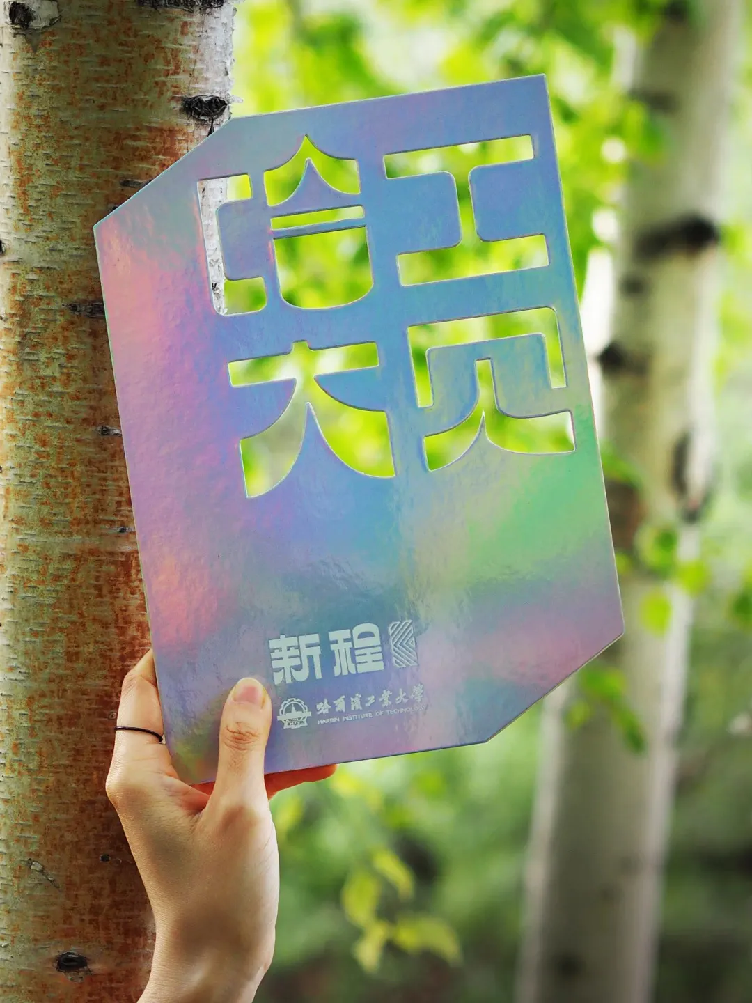 InsDaily|大学录取通知书又火了！各大高校争奇斗艳，美哭网友：有被感动到