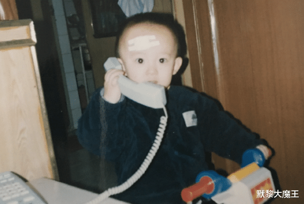 董子健|他被称为“京圈太子”，年仅24岁就结婚生子，母亲捧红半个娱乐圈