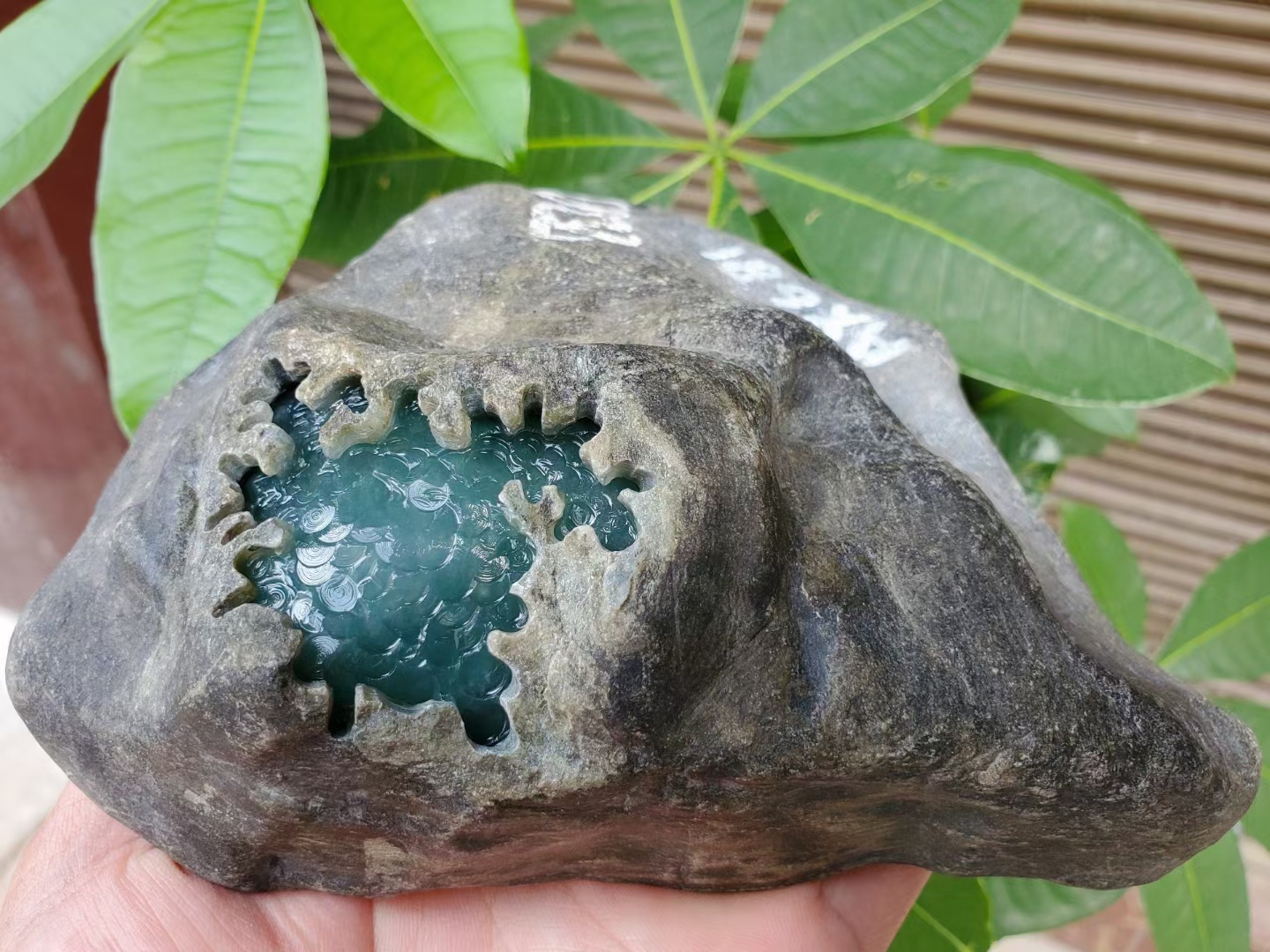 翡翠|翡翠知识——正阳绿