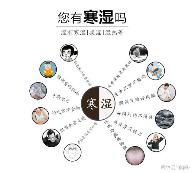 爱生活的陶哥|秋季养生,4种食物不要吃,越吃湿气寒气越重,好的食疗方法给你