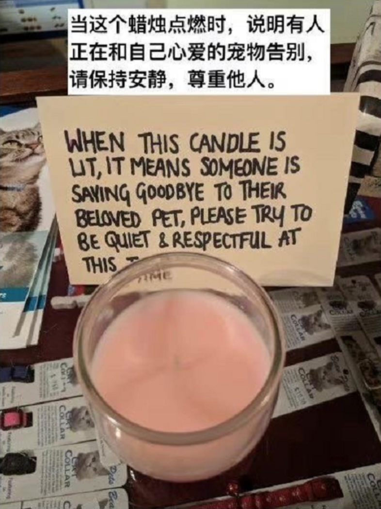 齊大圣|这一大波人性化设计，温暖溢出了屏幕