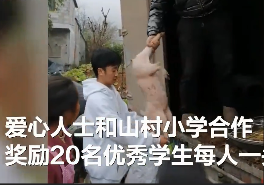 |学生的期末奖励竟是一头猪，家长笑得合不拢嘴，老师的解释亮了