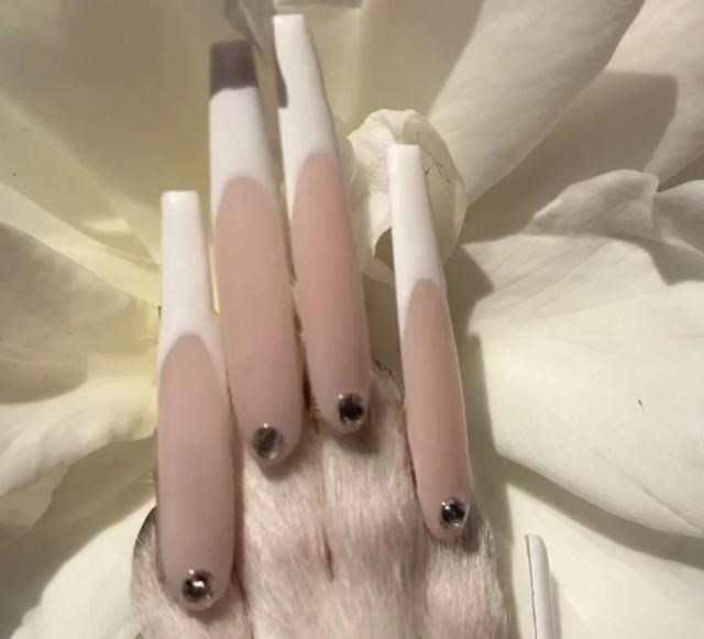 铲屎官|网红带狗直播，吸引2000万人观看，网友却说：这就是虐狗！