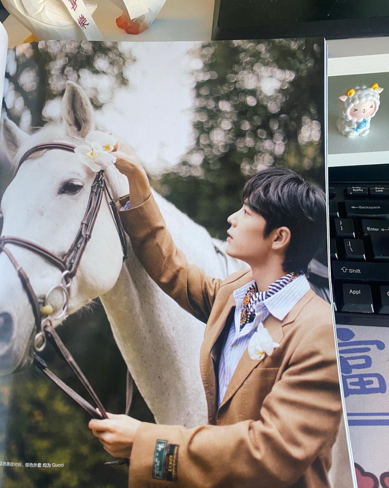 肖战|肖战登《ELLE》杂志，2022开年首封