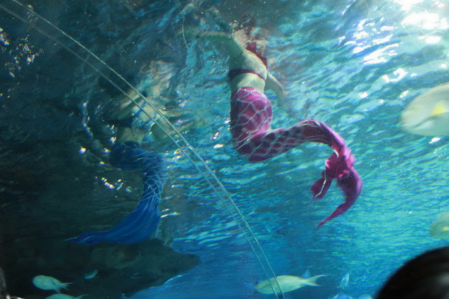 古巴 美人鱼真的存在吗？古巴发现了“小人鱼”还能和人类交流