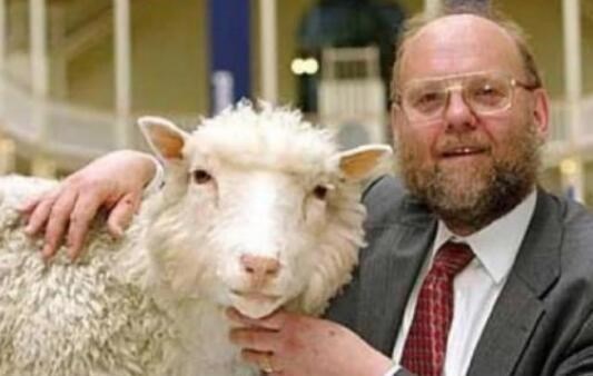 基因 “克隆”如今很少被提及，多莉的一生便能解释原因，太可怜了