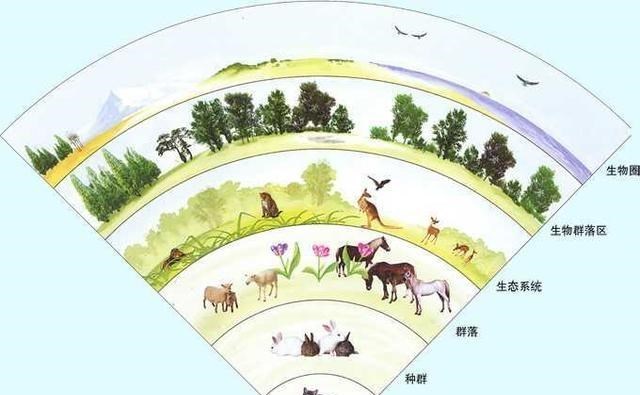 育儿心课堂|比眼镜蛇毒还强80倍剧毒，为何突然出现在吃了几十年的海鲜里？