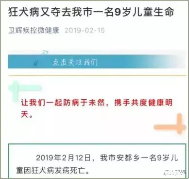 狂犬病 9岁男孩被狗舔一下就狂犬病发作去世？关于狂犬病你还误解多少？