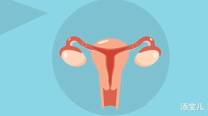 添宝儿|输卵管积水了该如何治疗？