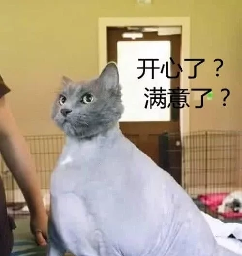 |奶奶不让猫咪减肥，女子无奈之下带猫去剃毛，回来后老人家懵了