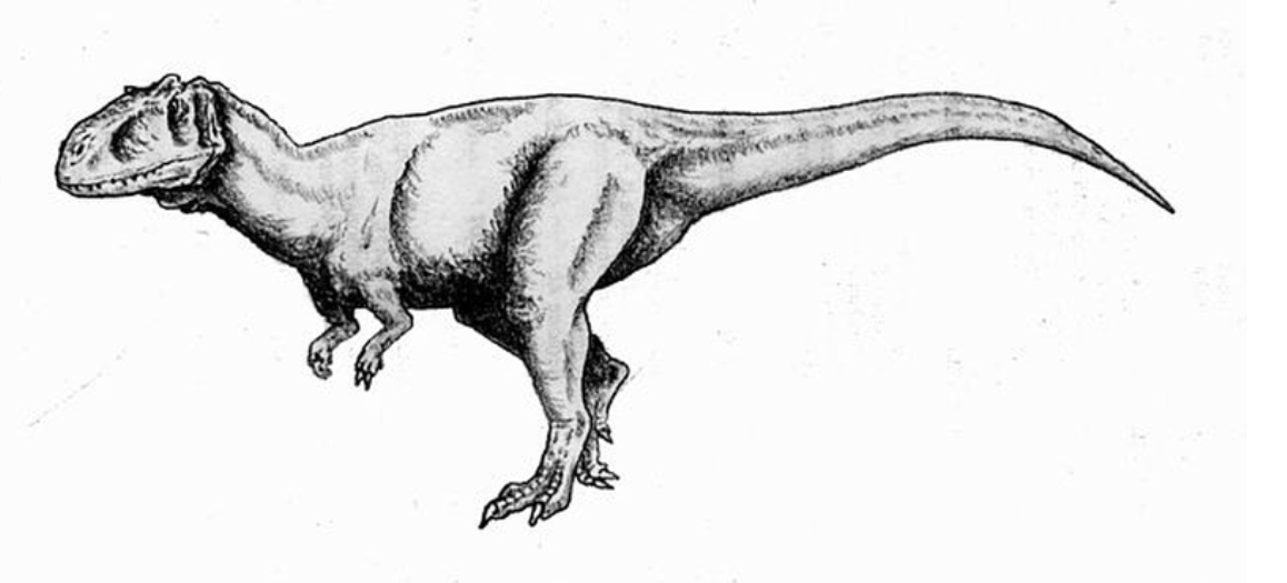 恐龙 历史上前八名，最恐怖的恐龙和最恐怖的史前动物