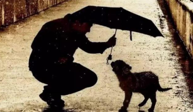 浓烈难咽下|大家亲身经历过或者听到过什么恶有恶报的故事吗？