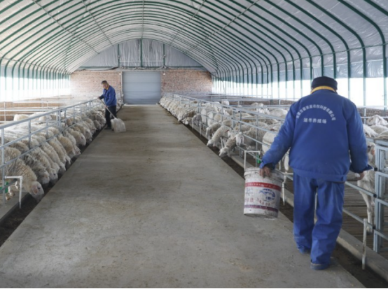 小然说奇闻|在养殖之前，需要想清楚这些问题，这需要付出很多的努力