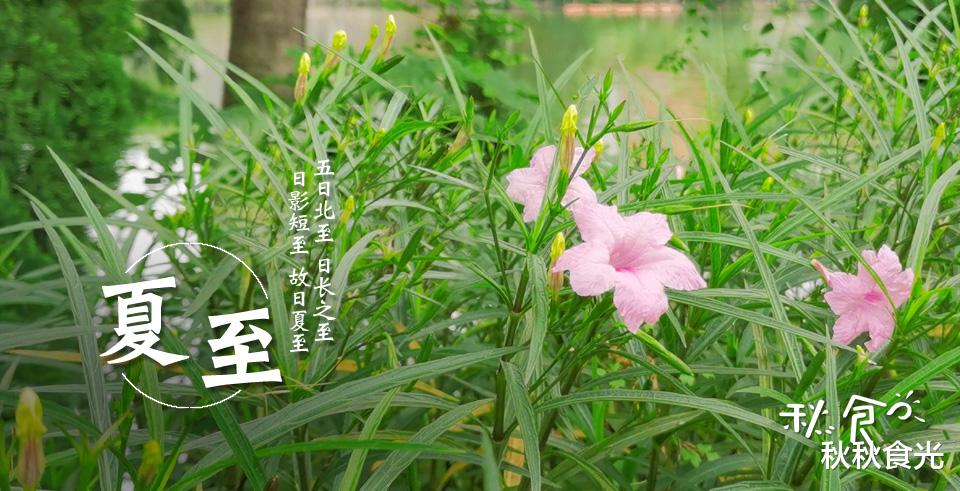 |夏至将至,这2种“食物”记得吃,寓意:四季安康,平安过夏天