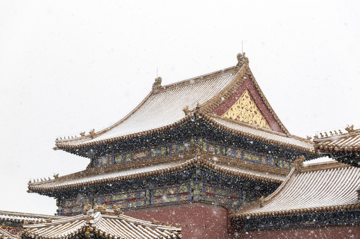 茶馆小二 歪批；皇室后裔“坐吃山空”挖自家祖坟犯罪吗？文物是人家的呀！