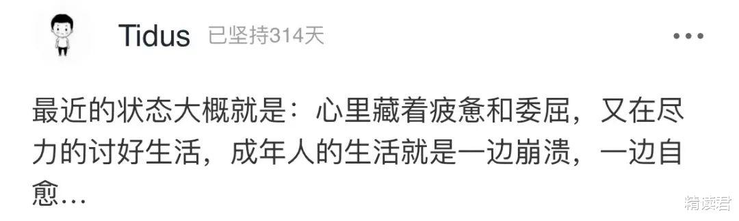 董卿|47岁“央视一姐”董卿旧照流出：哪有人能一路躺赢？