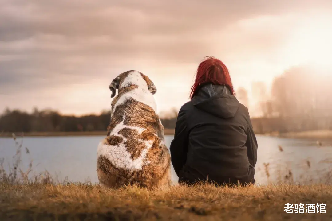 老骆酒馆|你的爱情观是什么样的?