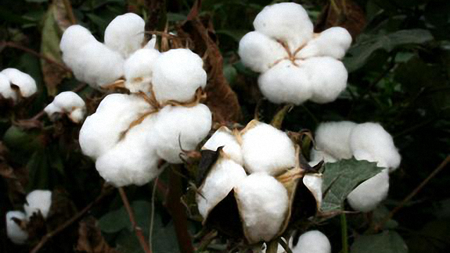 H&M H&M与耐克尝尽苦果：市值一下子蒸发954亿！美媒终于“承认”事实