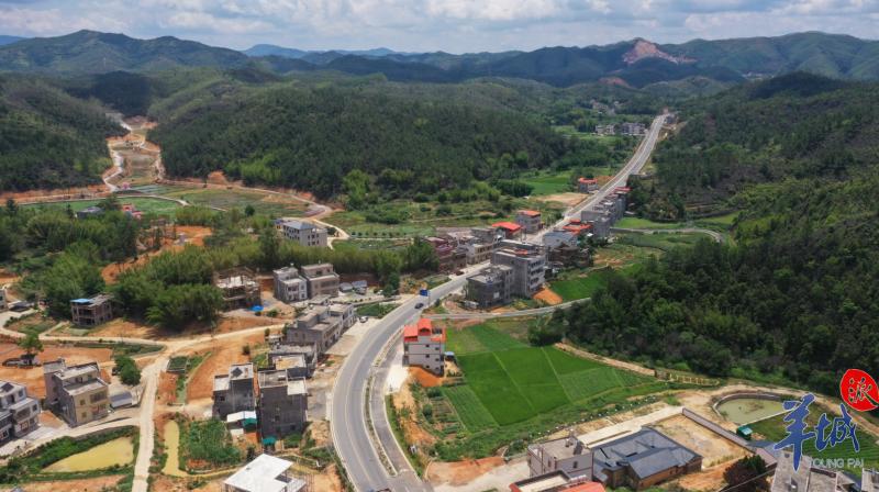 羊城派 村集体收入从3.4万到35.5万，昔日“四大精光”村这样致富｜沿着高速看中国（广东）