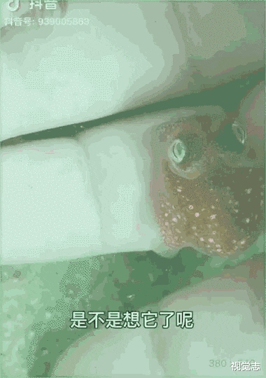 视觉志 一个网红，决定向死而生