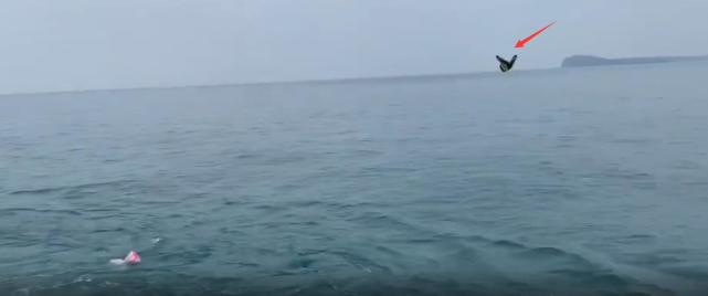 孙侨潞|孙侨潞去世一周年,13年闺蜜晒与其生前合照,承诺会替她照顾妈妈