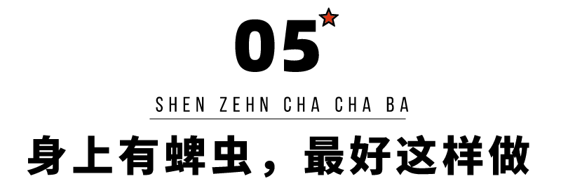 深圳查查吧 这种“夺命小黑点”又开始活动了！深圳人外出千万要注意