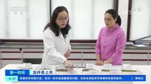 乡村仁哥 一斤龙井卖3万多元？同一产地，价格为啥差1倍