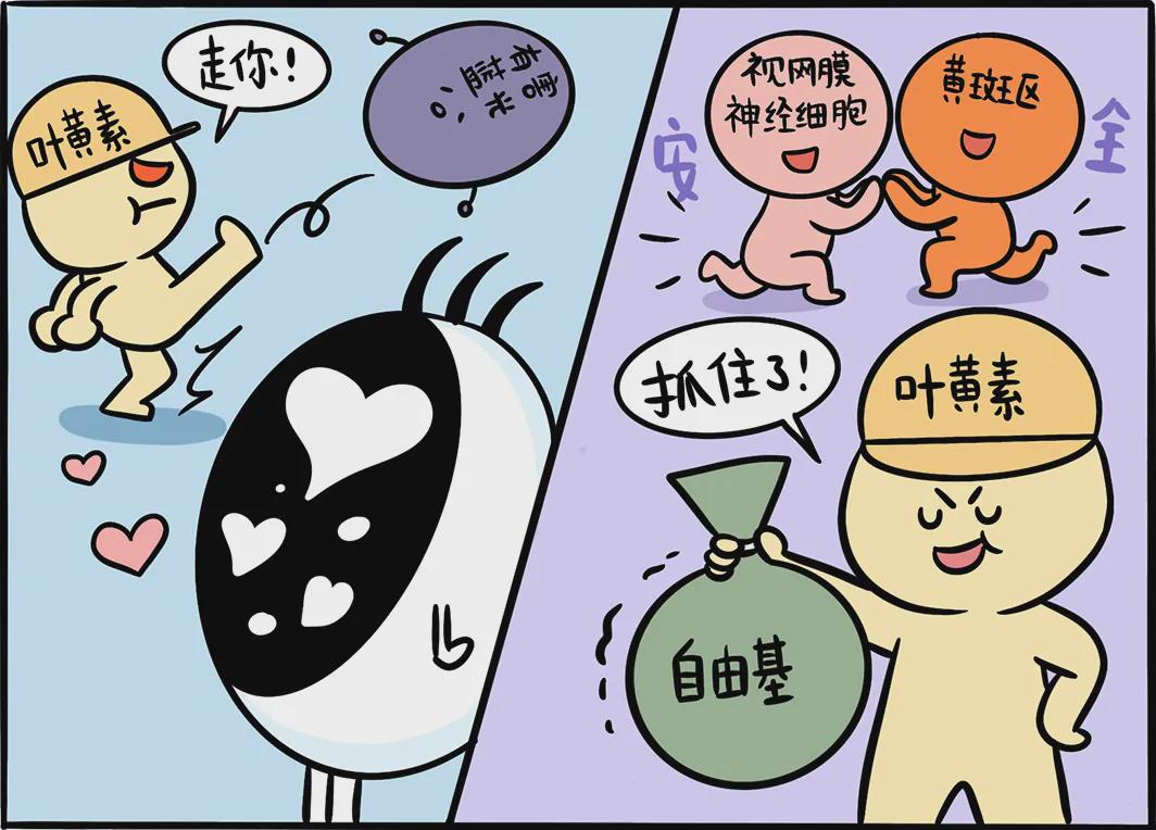 蔬菜|想要眼睛好，你需要吃够它！