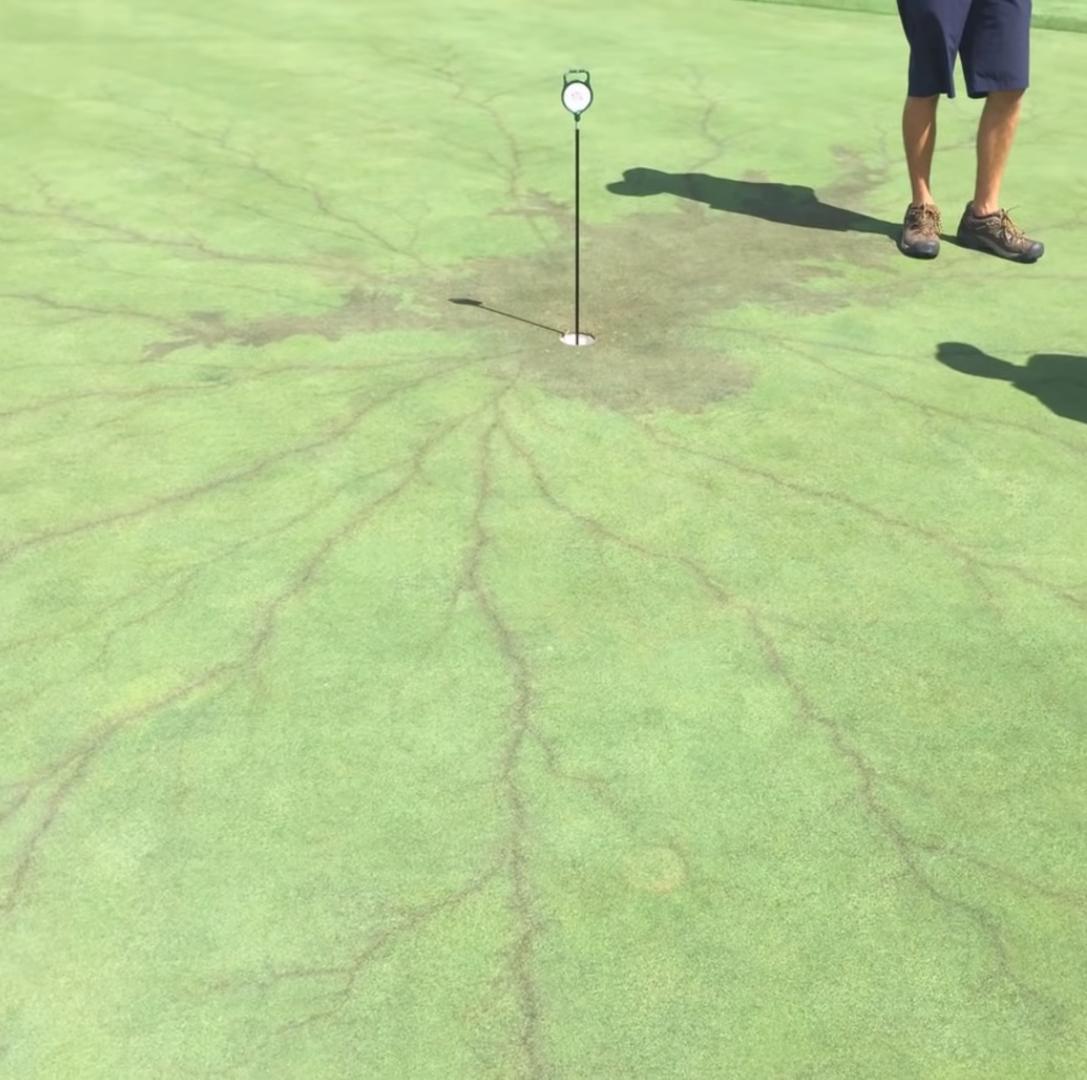 海之归墟|27张罕见的照片，展现了常见事物“不常见”的一面