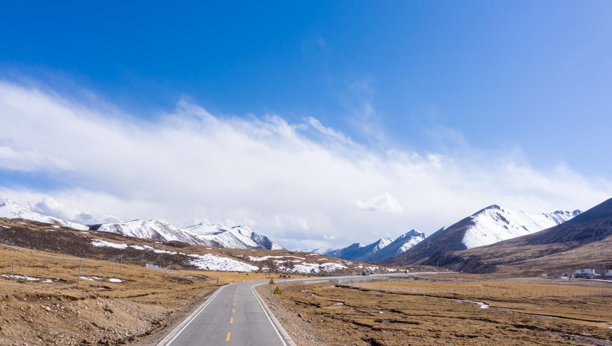 奶球妈咪聊|在海拔5013米的米拉山口卖玫瑰花是种什么样的体验