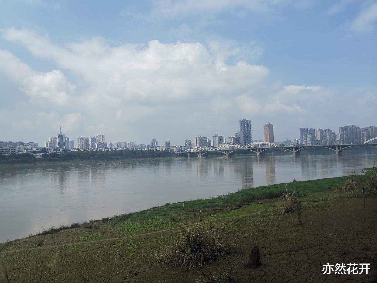 |职场写作：实现视觉化、形象化，让文稿图文并茂