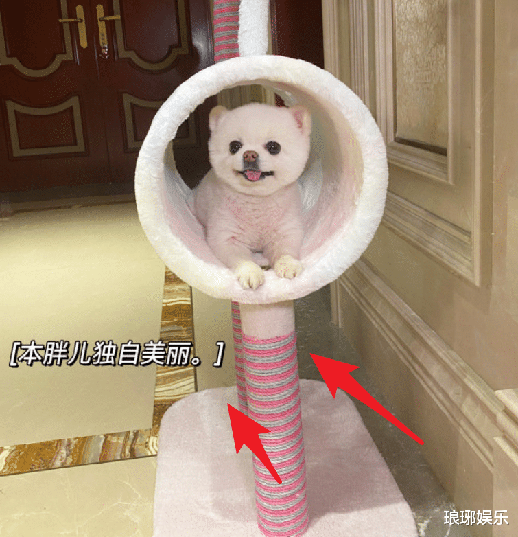 鹿晗|网曝关晓彤鹿晗去年已分手，多处细节引热议，其实早有端倪