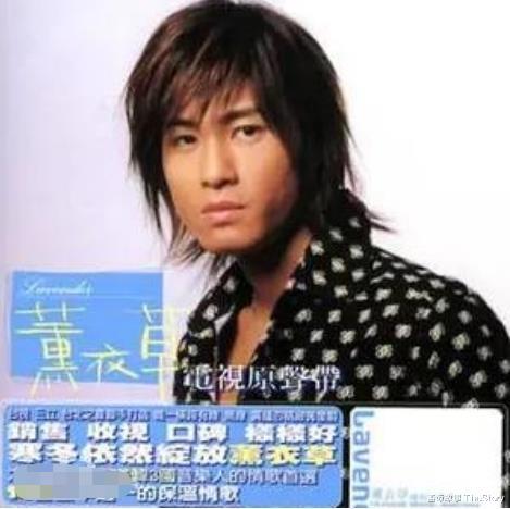 林韦君|20年前比《流星花园》还火,如今主演全糊了,小龙套反成收视女王