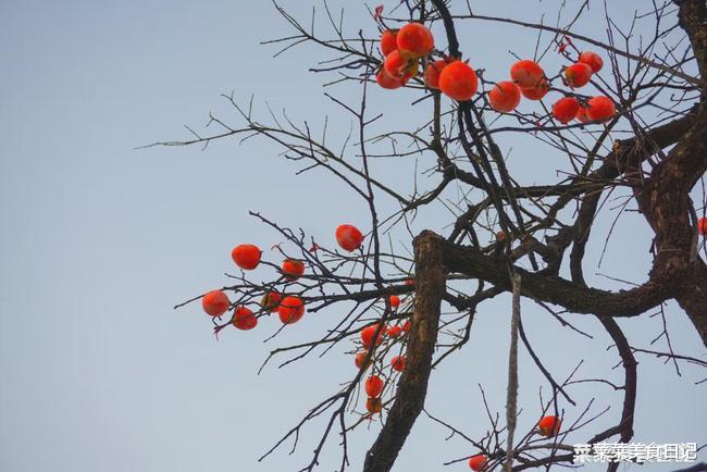 飞了3200公里，就为吃它！软糯爆浆，一口封神，值了！