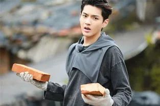 吴亦凡|吴亦凡资产被冻结，曾经年入2.5亿，只剩下1775万？