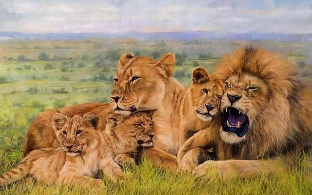 鬣狗 比人类压力还大的雄狮到底多悲惨？一生征战，打不动时死期就到了