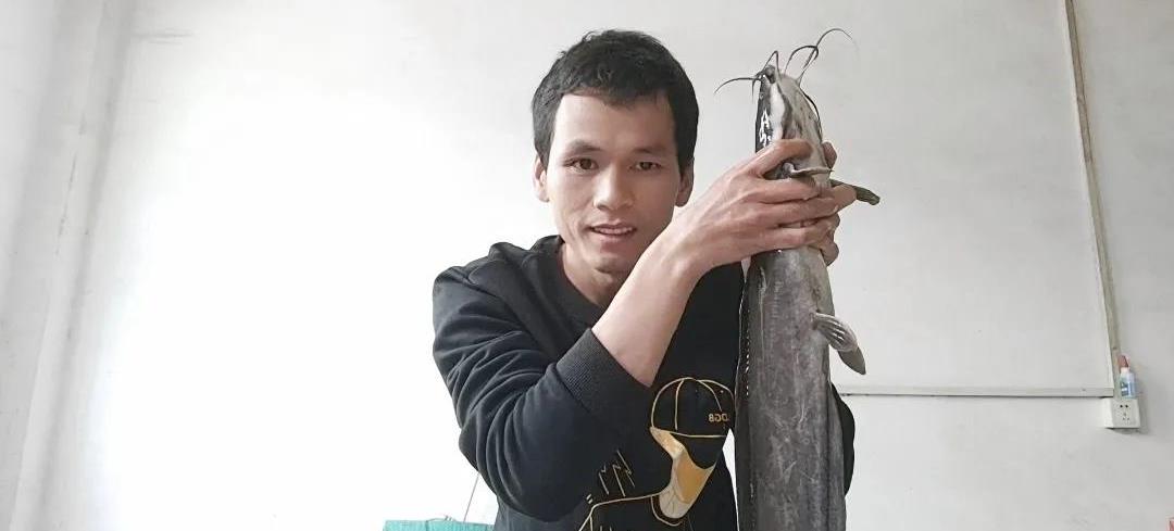 |这几种鱼是最成功的入侵鱼类，遇水则活，钓到尽量别放生