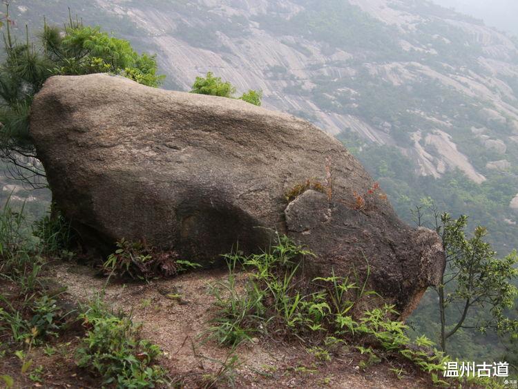 温州古道 温州大罗山最新网红打卡点--昭君出塞等你来