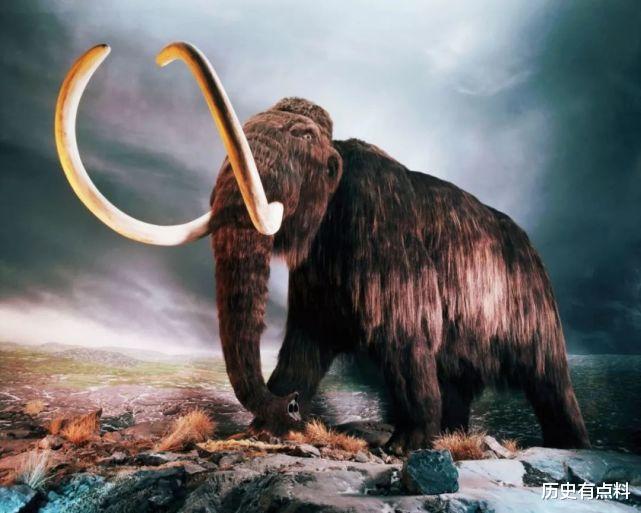 科学家 为什么现在人们很少提“克隆”了?多莉的一生就是答案,太悲惨了