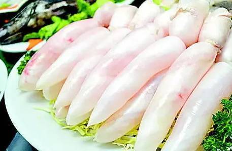 饵料|【鱼百科】鱼的基础知识，了解主要生理特征