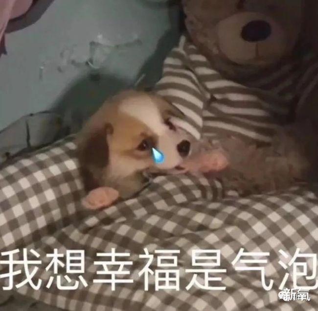 带货|赵丽颖这个车祸现场，半个娱乐圈也只有刘涛能教她了…