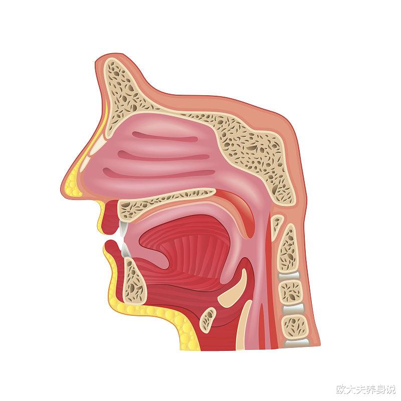 鼻咽癌|鼻咽癌的病因和预防,你需要了解一下