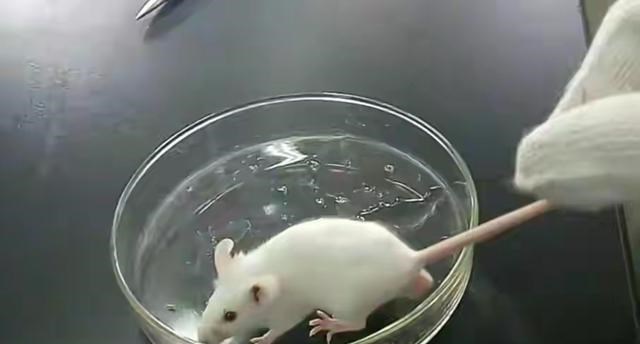 为了永生,科学家给自己注射了350万年前的细菌,如今怎么样?