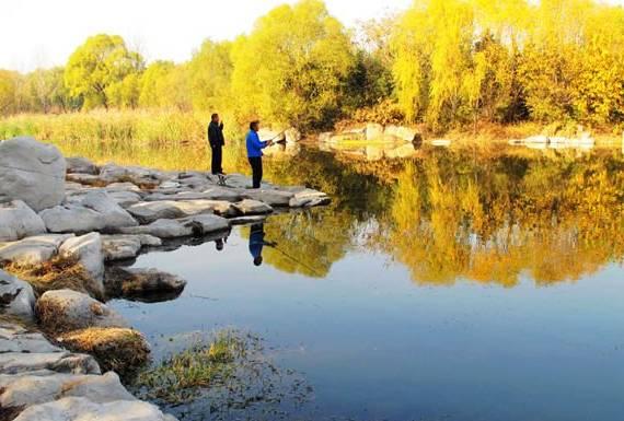 饵料|冬季钓鲫鱼你真的行吗?迟来的技巧,上来的都是大板鲫!