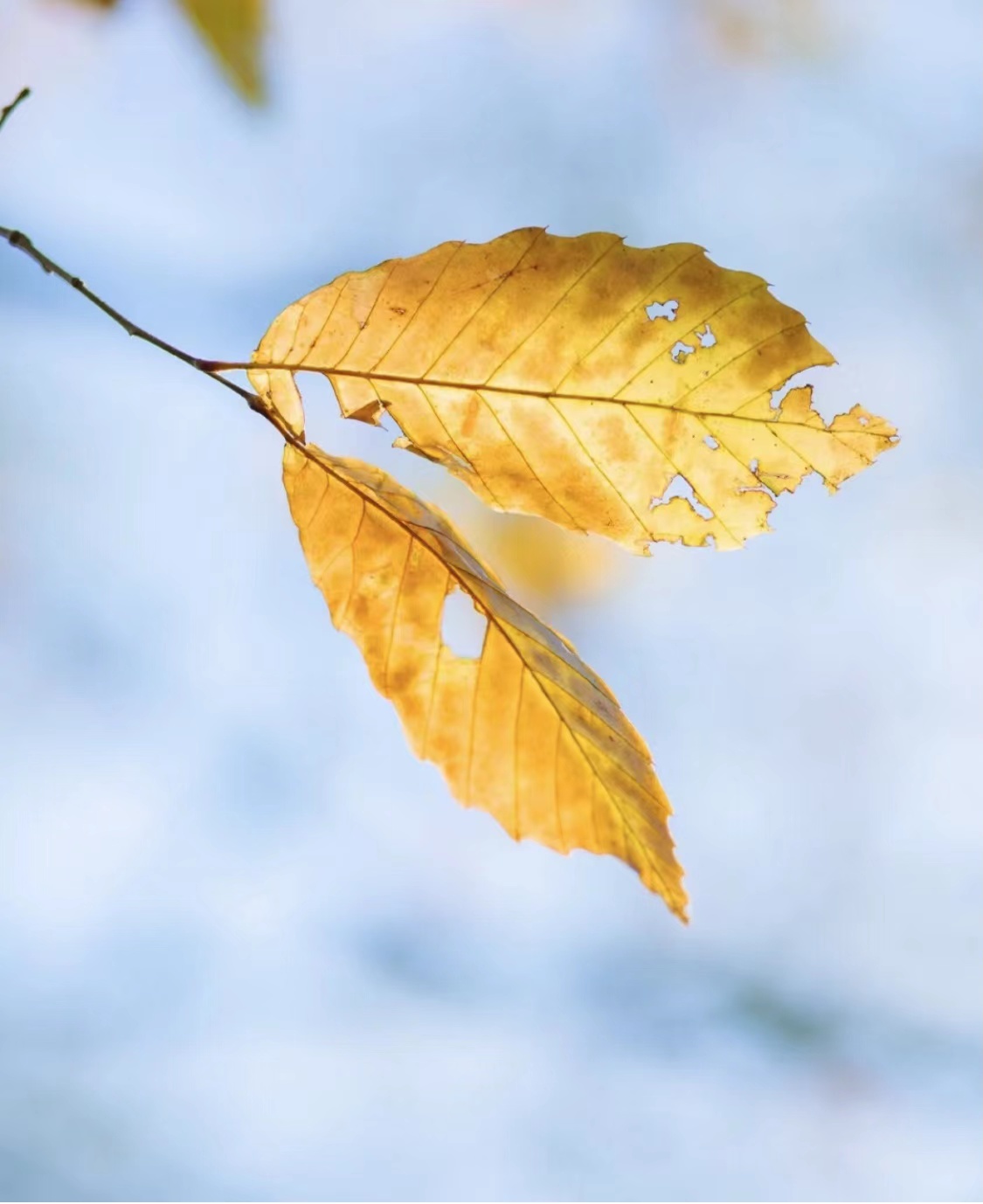 海信|如何打造店铺爆款呢？