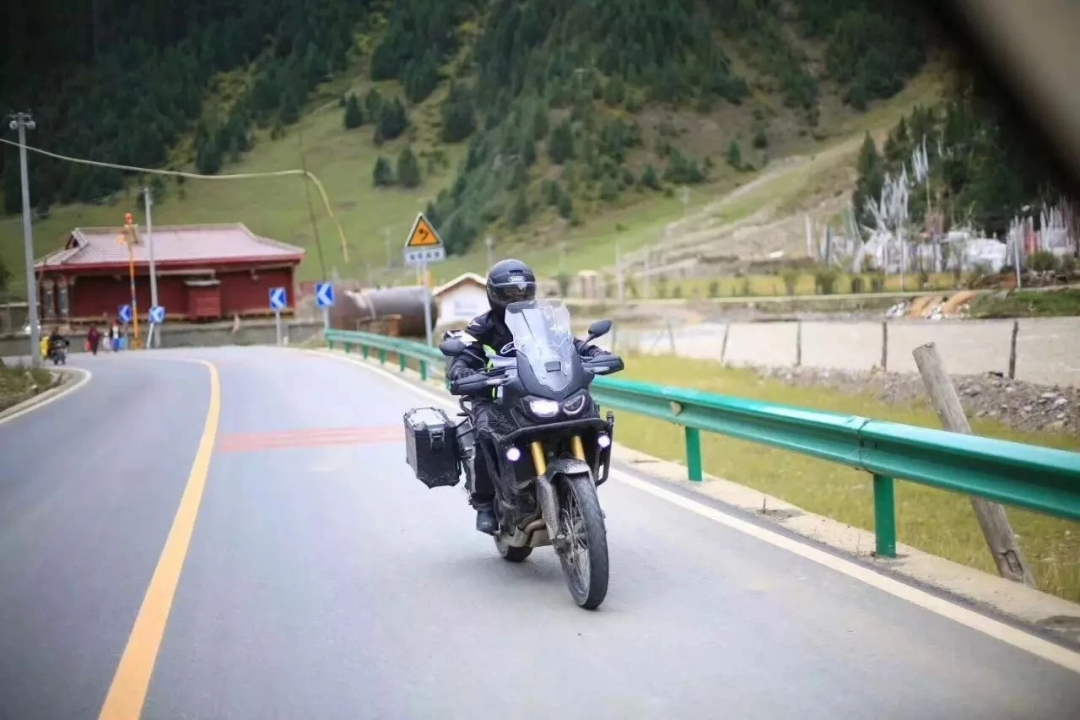 胡歌|39岁胡歌又上热搜！逃跑捡垃圾8年：做明星没劲儿透了！