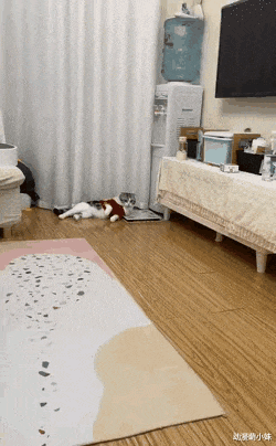 分宜|姑娘草率了,镜片里的反射早就被大家看得一清二楚