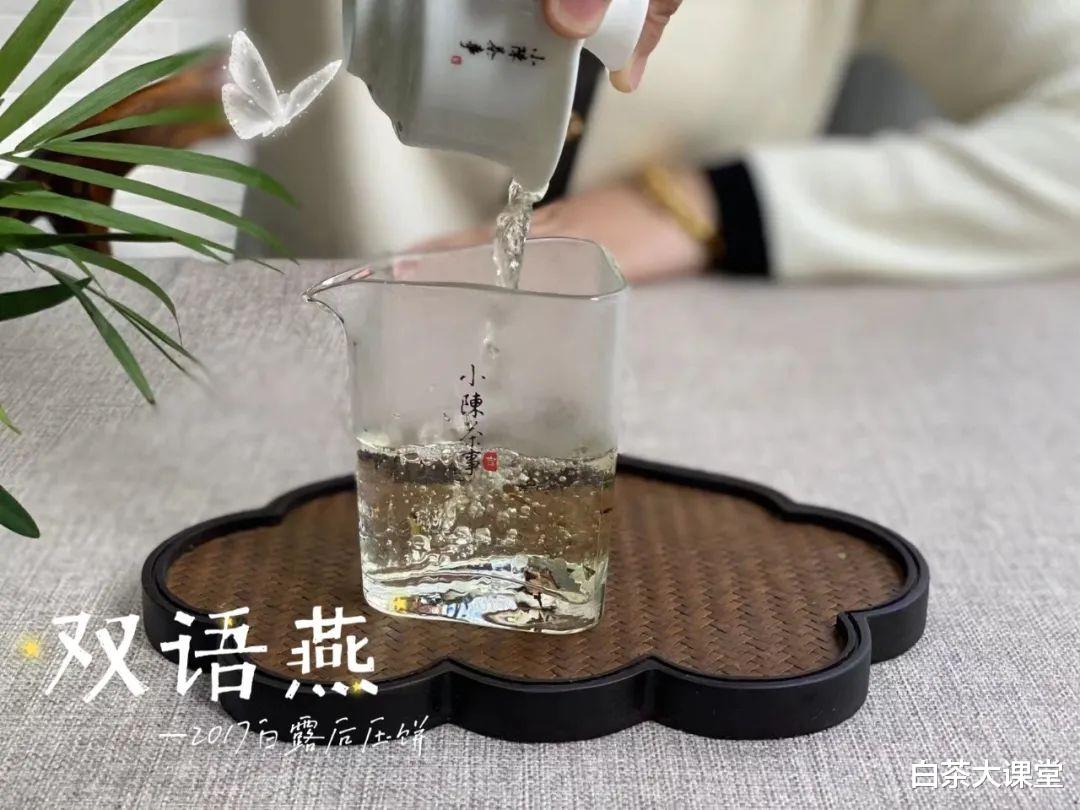 茶具|玻璃杯、白瓷盖碗、紫砂壶，哪个更适合冲泡老白茶？