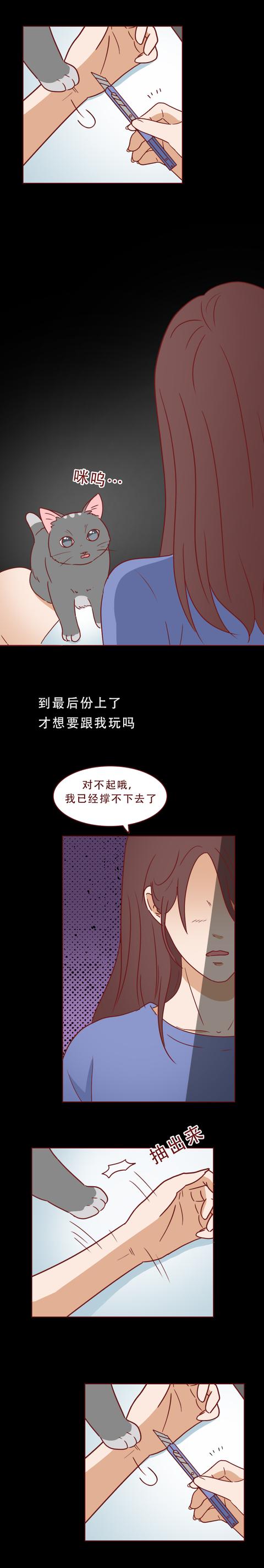 女孩|一只捡来的猫，给了抑郁症女孩第2次生命，有时兽性比人性强